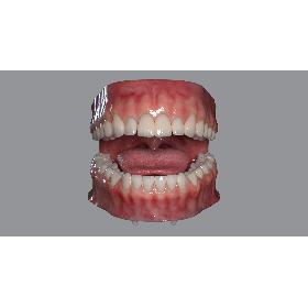 3D Mouth (Rigged)